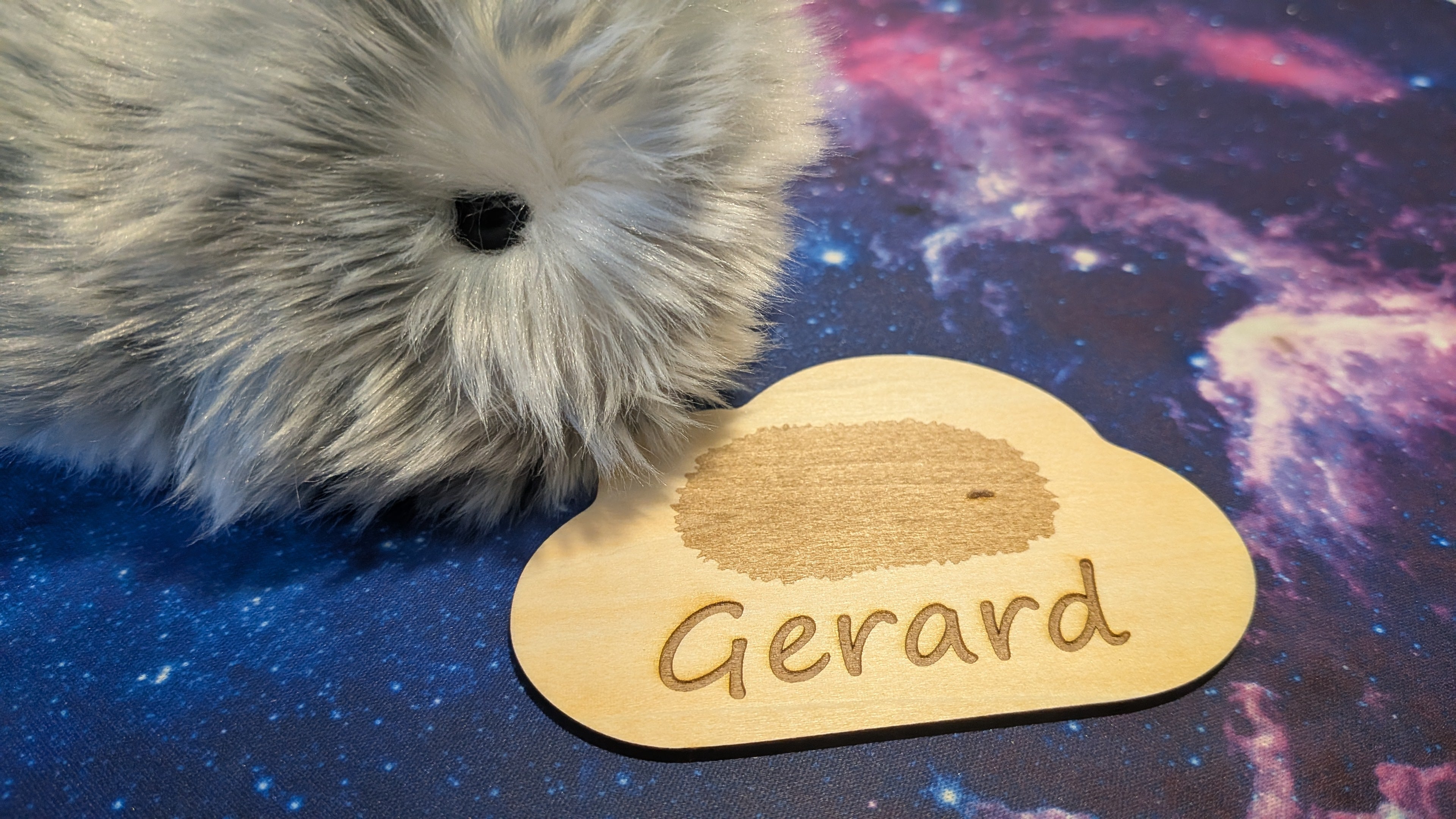 Customised Moflin Plaque